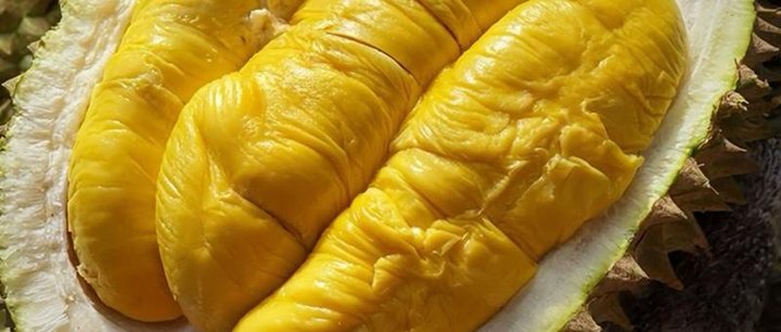 Black Gold durian flesh